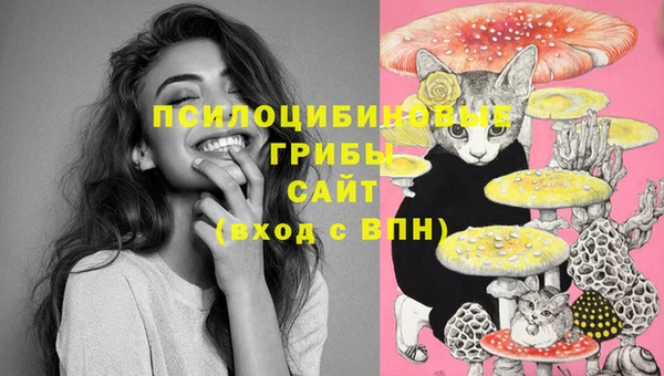 мяу мяу кристалл Новокубанск