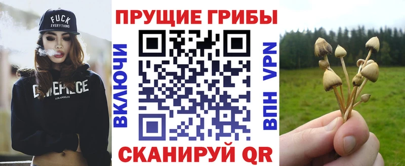 купить наркотик  Княгинино  Галлюциногенные грибы ЛСД 